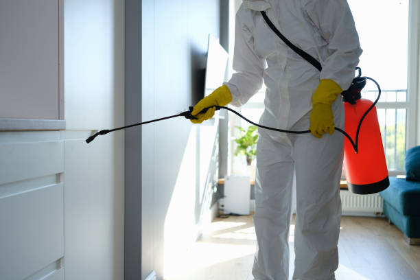 Best Mold Testing and Inspection Services in Summerfield, MD